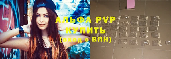 стаф Богородск