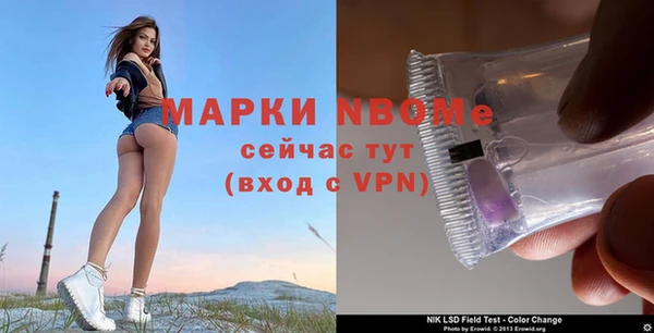 стаф Богородск