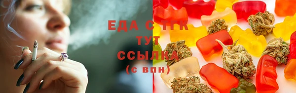 дмт Богородицк