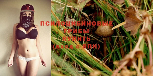 дмт Богородицк