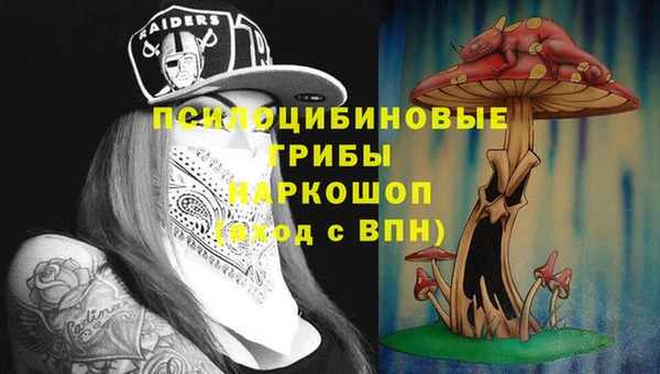 дмт Богородицк