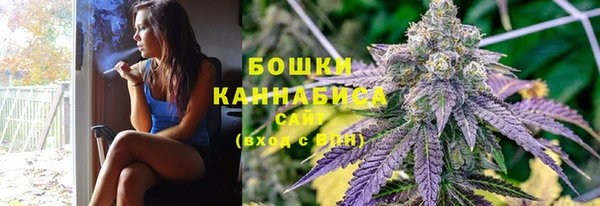 стаф Богородск