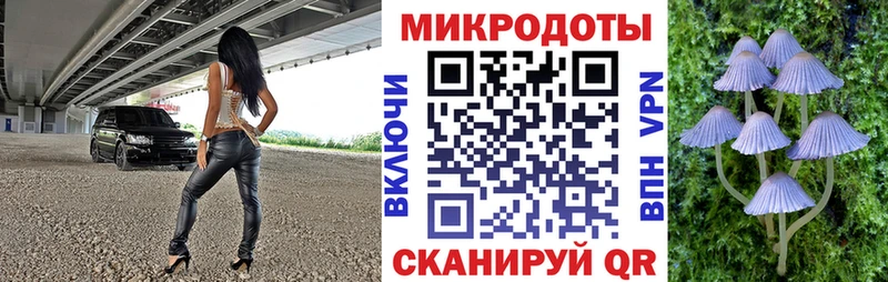 Галлюциногенные грибы прущие грибы  Кирсанов 